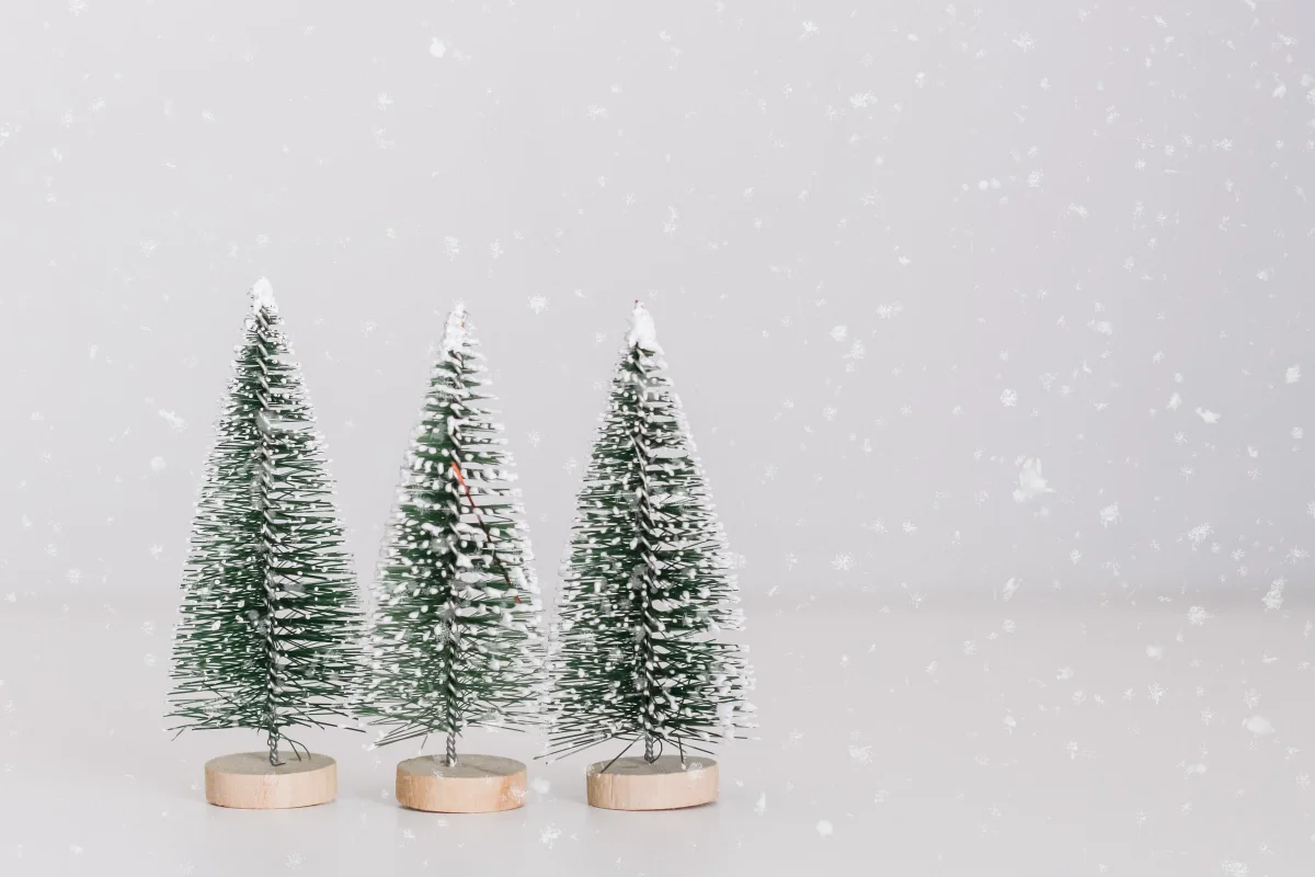 Happy Holidays!
